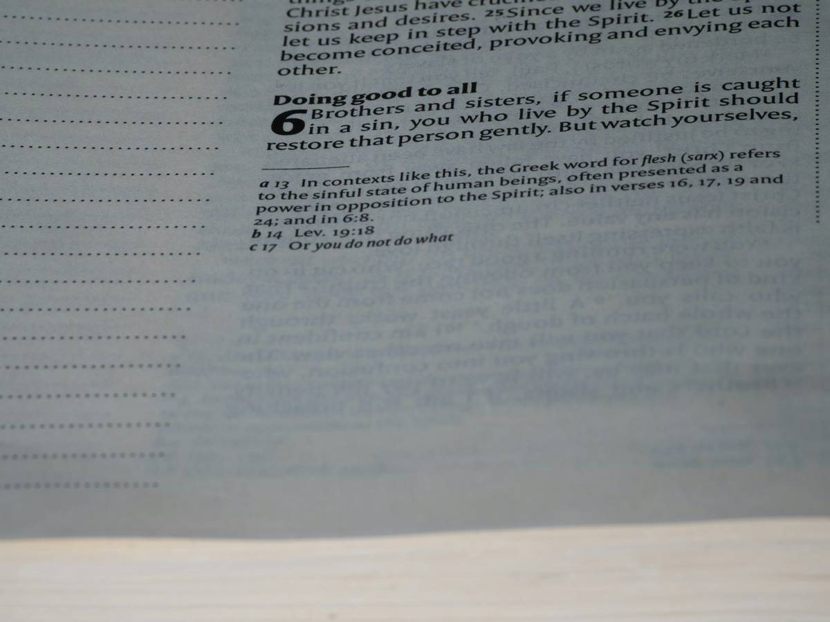 Close-up of a document showing highlighted text related to insurance clauses