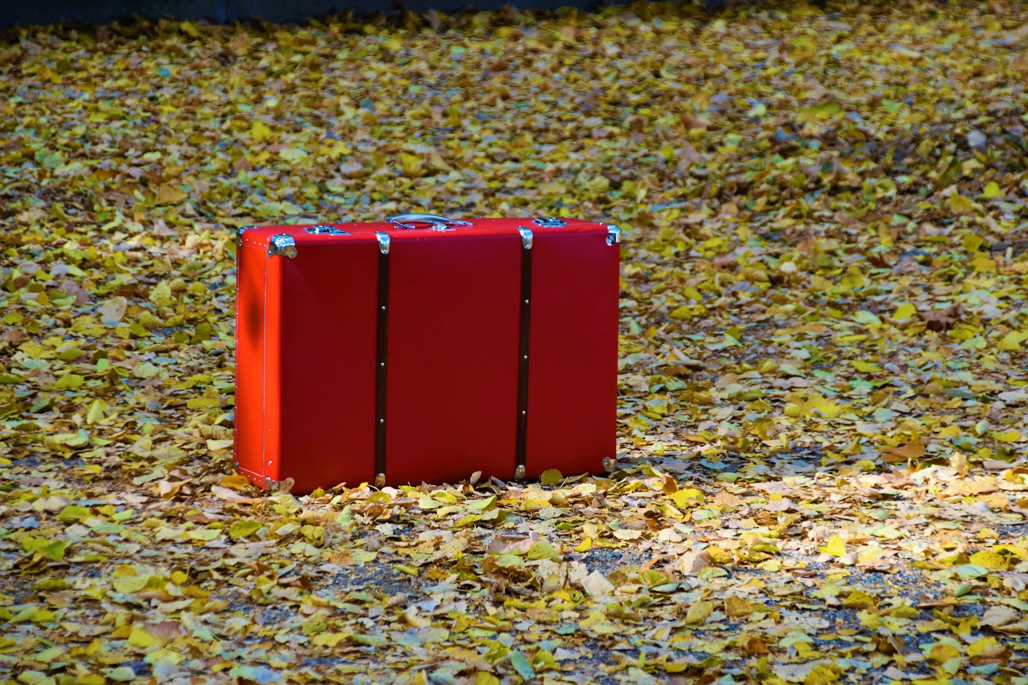 Lost Luggage Blues? How a Delay Reimbursement Policy Can Save Your Trip